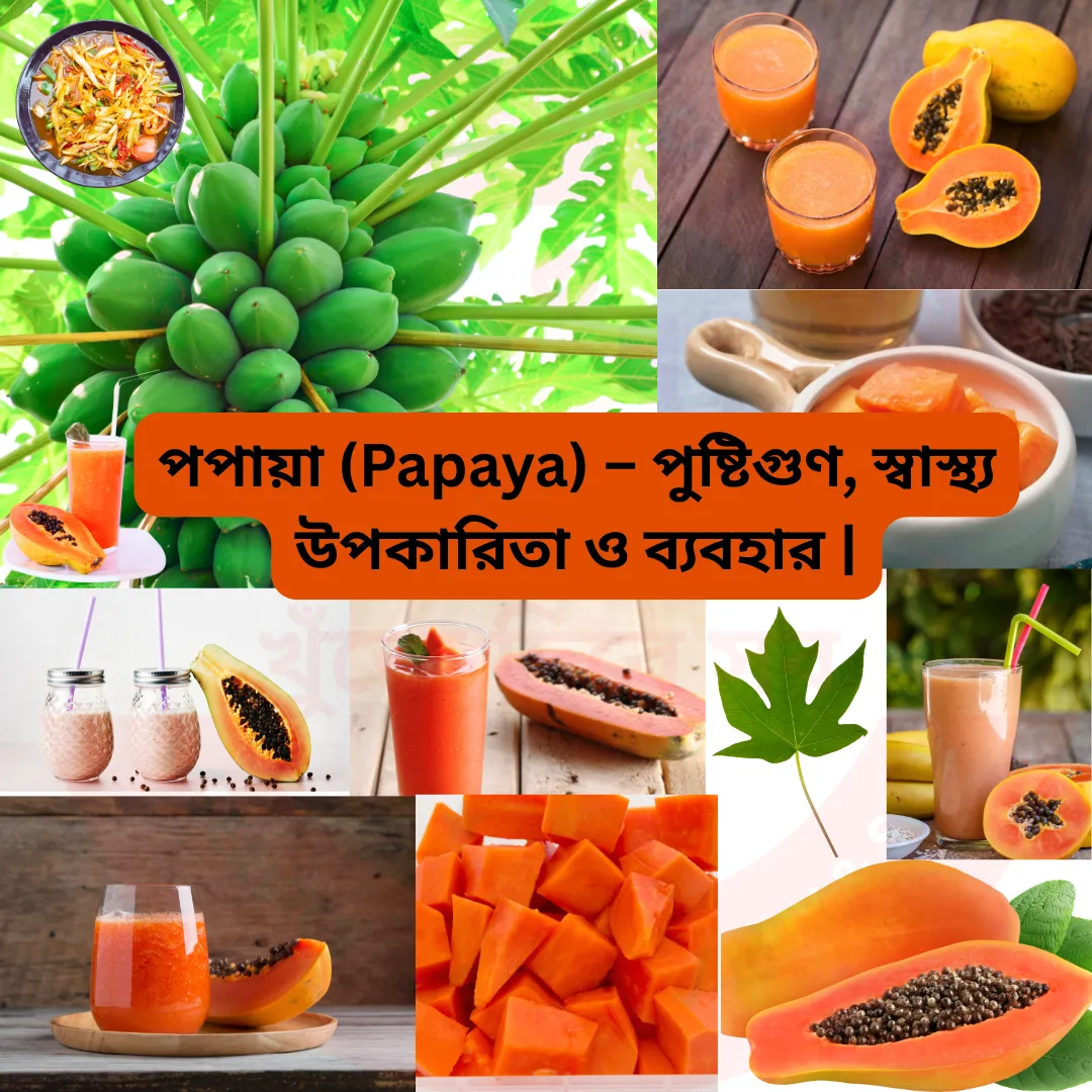 পপায়া (Papaya) – পুষ্টিগুণ, স্বাস্থ্য উপকারিতা ও ব্যবহার | বাংলাদেশি গাইড | TrustBhai
