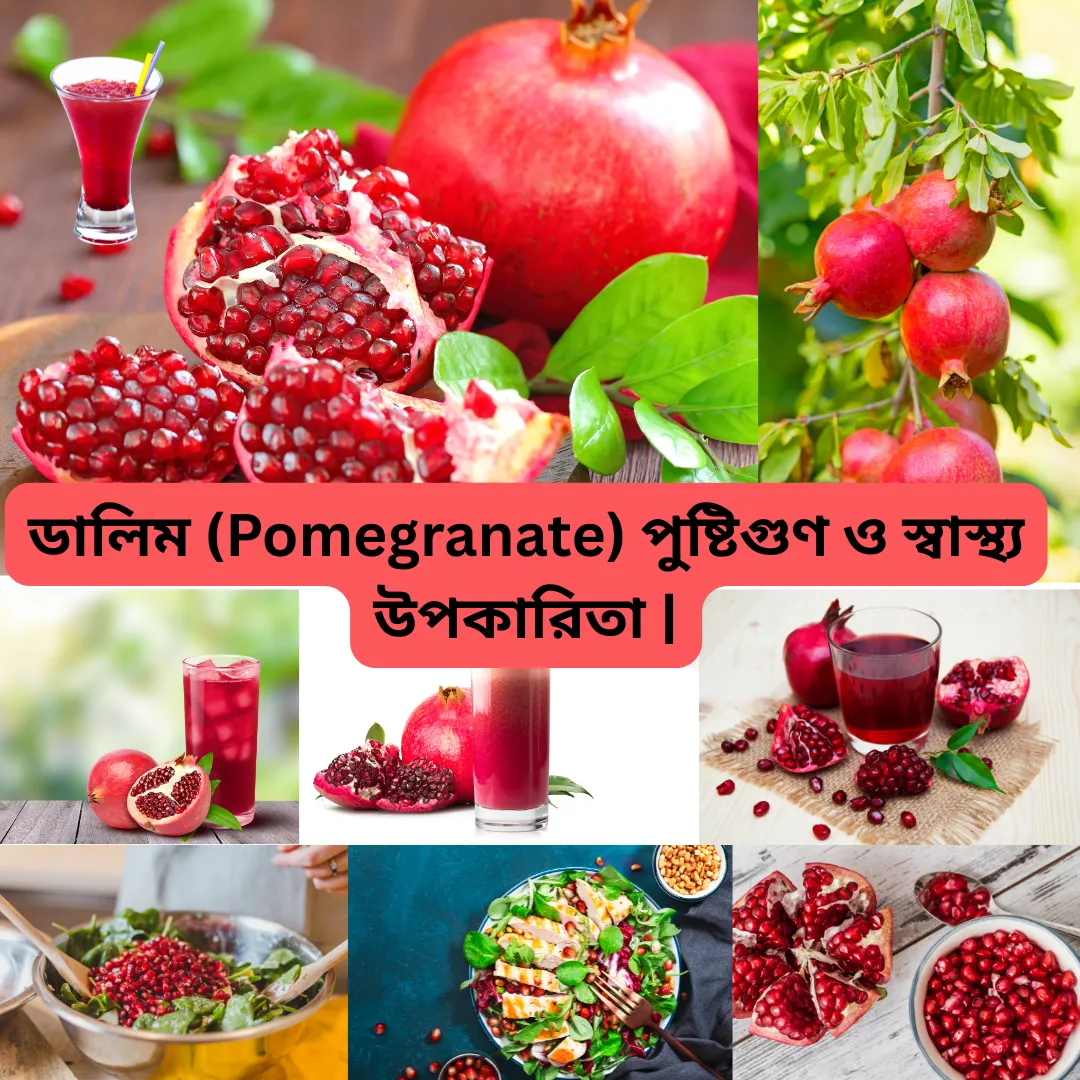 ডালিম (Pomegranate) পুষ্টিগুণ ও স্বাস্থ্য উপকারিতা | বাংলাদেশের ফল গাইড | TrustBhai