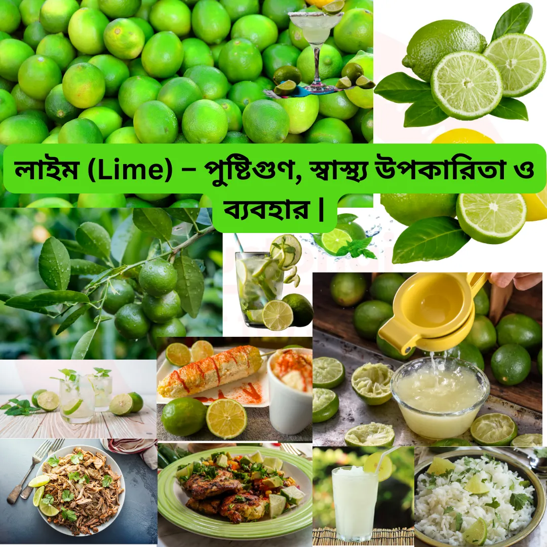 লেবু (Lemon) – পুষ্টিগুণ, স্বাস্থ্য উপকারিতা ও ব্যবহার | বাংলাদেশ | TrustBhai