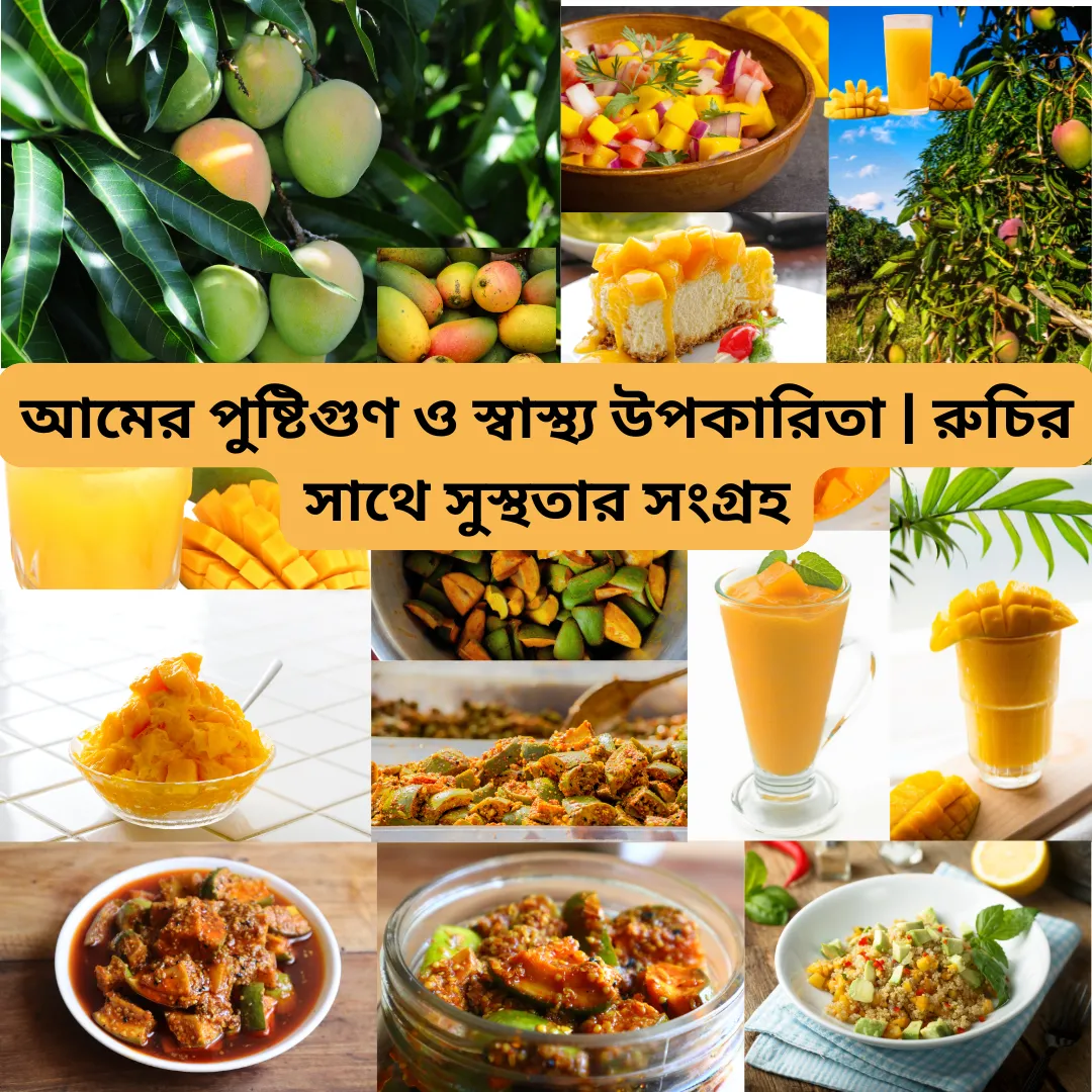 আমের পুষ্টিগুণ ও স্বাস্থ্য উপকারিতা | রুচির সাথে সুস্থতার সংগ্রহ | TrustBhai