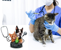 Thana Pranishompod office